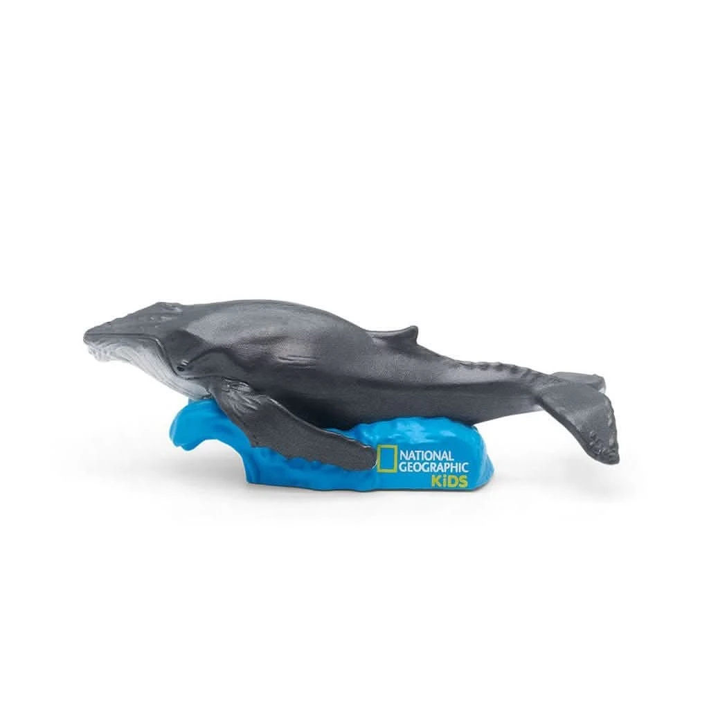 Tonies National Geographic: Whale Audio Play Figurine 5 Tonies National Geographic: Whale Audio Play Figurine - Image 3